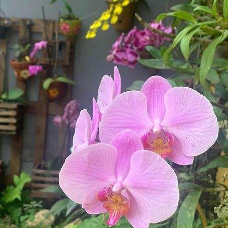 Casa Das Flores Chapada dos Guimarães Kültér fotó